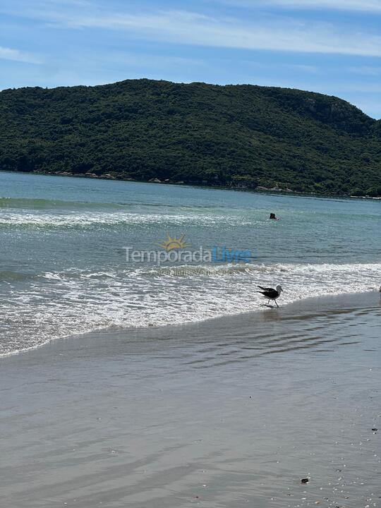 Apartment for vacation rental in Florianopolis (Praia dos Ingleses)