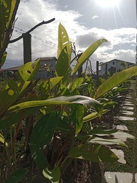 La casa más linda, elegante y acogedora en el barrio más tranquilo de Barra Grande.
