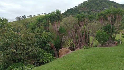Vista para a pedreira 
