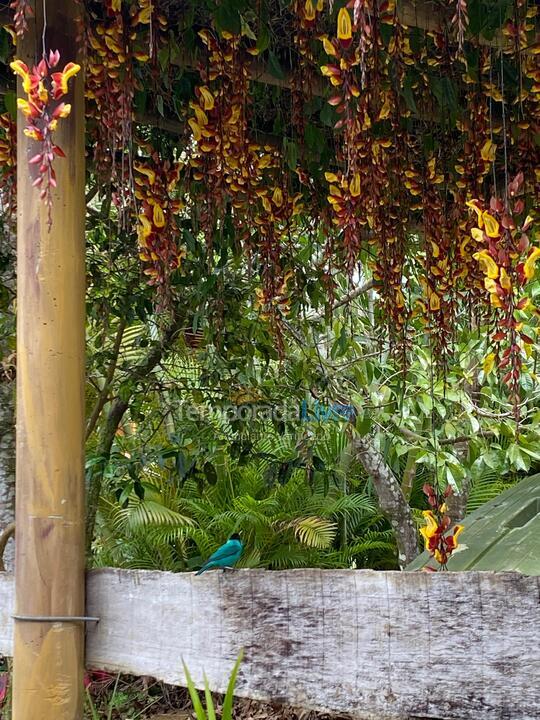 Casa para aluguel de temporada em Ubatuba (Praia da Fortaleza)
