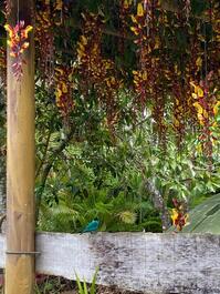 Casa na Praia da Fortaleza Ubatuba à 98m da areia