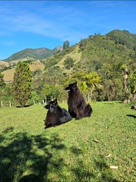 Paraíso da Mantiqueira SFX Santa Bárbara