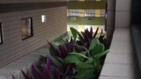 BEAUTIFUL APARTMENT GUILHERMINA