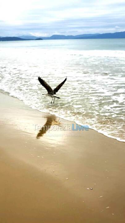 Casa para alquiler de vacaciones em Florianópolis (Lagoinha)