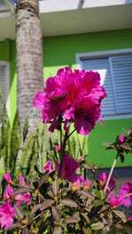 House for rent in Florianópolis - Lagoinha