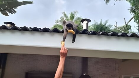 A Melhor da Riviera! 5 Suítes | Piscina Aquecida