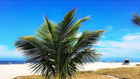 Precioso ático DUPLEX frente al mar