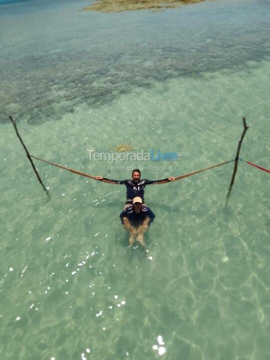 Casa para alquiler de vacaciones em Porto de Pedras (Al Rota dos Milagres)