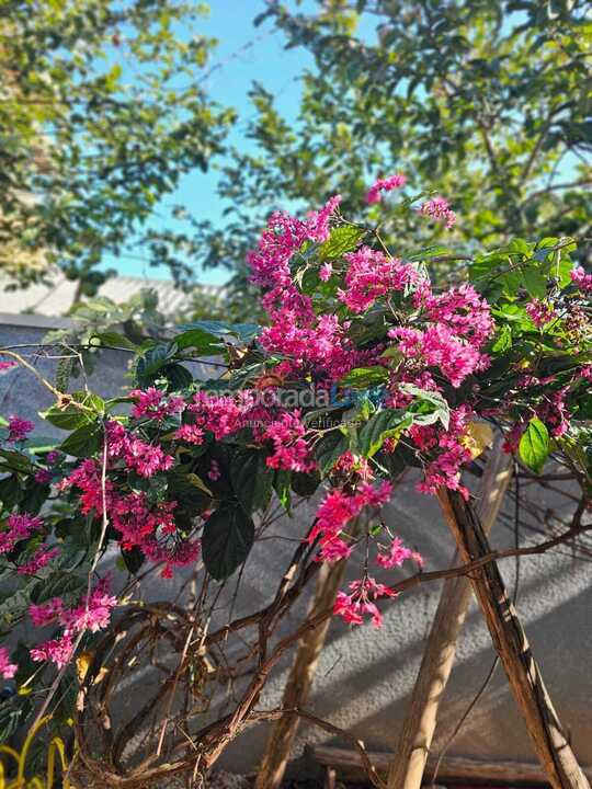 Casa para aluguel de temporada em Bombinhas (Mariscal)