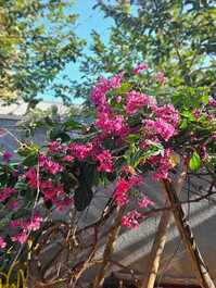 GREY HOUSE, o seu refúgio em Canto Grande/Mariscal