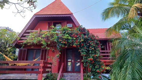 Vista frontal
