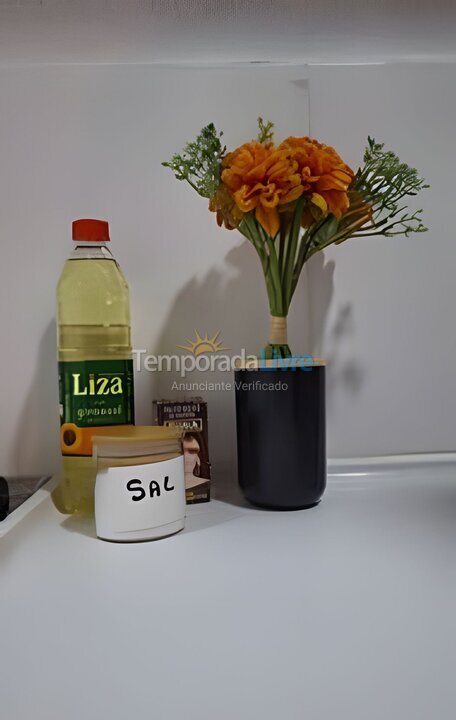 Apartment for vacation rental in São Paulo (Santo Amaro)