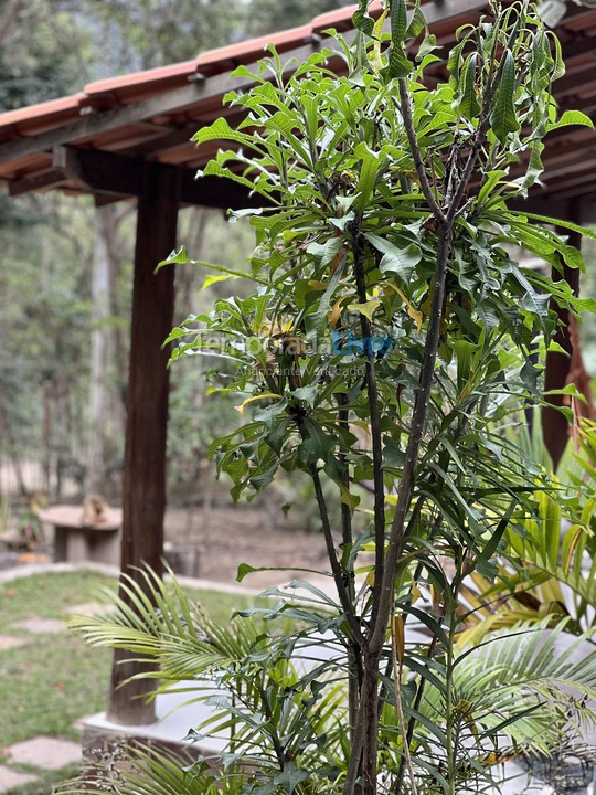 House for vacation rental in Palmeiras (Vale do Capão)