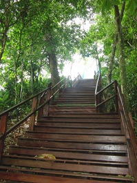 Beachfront Apartment