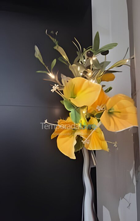 Apartamento para aluguel de temporada em São Paulo (João Dias)