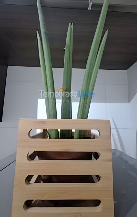 Apartamento para aluguel de temporada em São Paulo (João Dias)