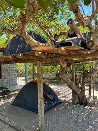 Barraca (casa) na árvore,  com deck em cima do cajueiro