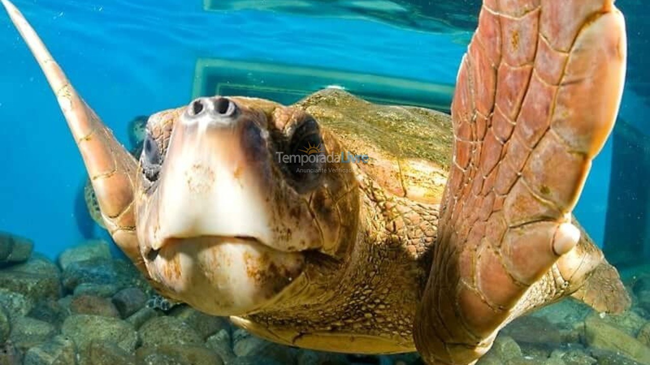 Apartamento para alquiler de vacaciones em Ubatuba (Itaguá)