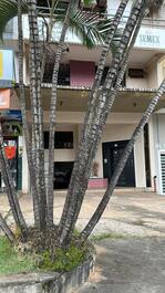 Apartamento para alugar em Brasília - Asa Norte