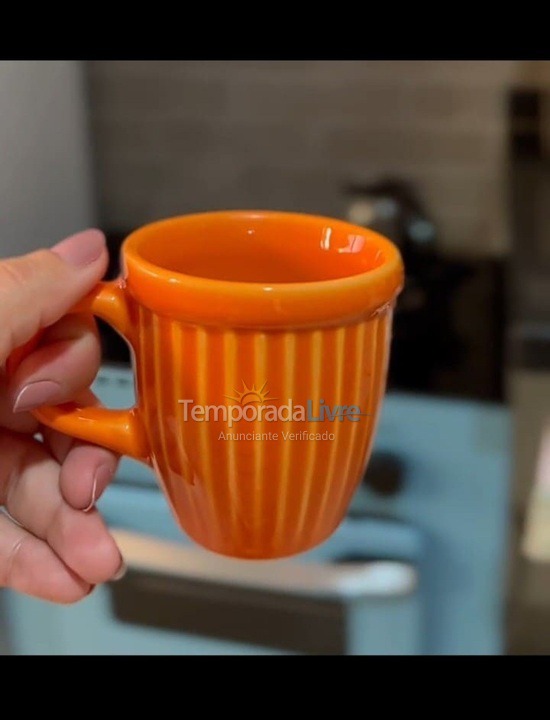 Casa para aluguel de temporada em São Joaquim da Barra (Recanto do Conde)