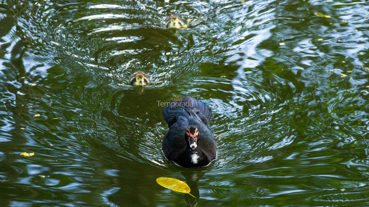 Casa para aluguel de temporada em Ubatuba (Horto Florestal)