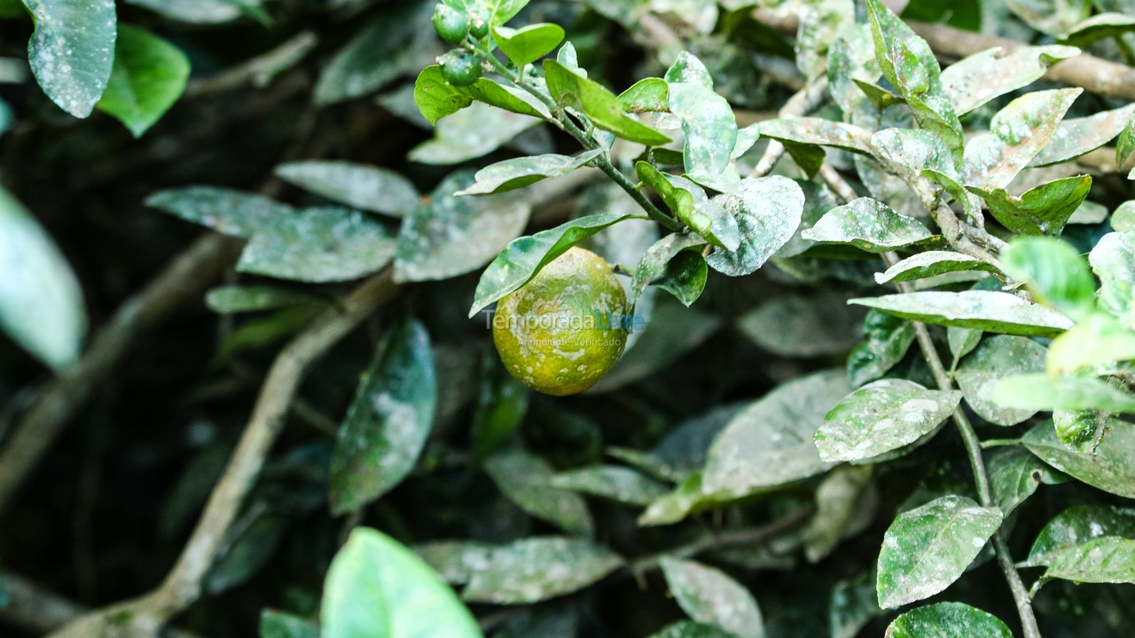 Casa para aluguel de temporada em Ubatuba (Horto Florestal)
