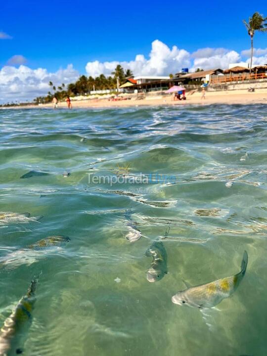 Casa para aluguel de temporada em Porto de Galinhas (Praia do Cupe)