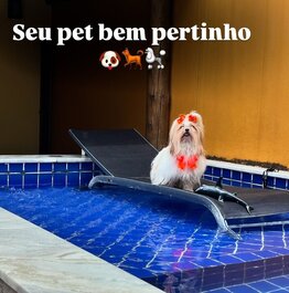 Yara - 4 suítes, Frente Praia, piscina em raia, Churrasqueira,...