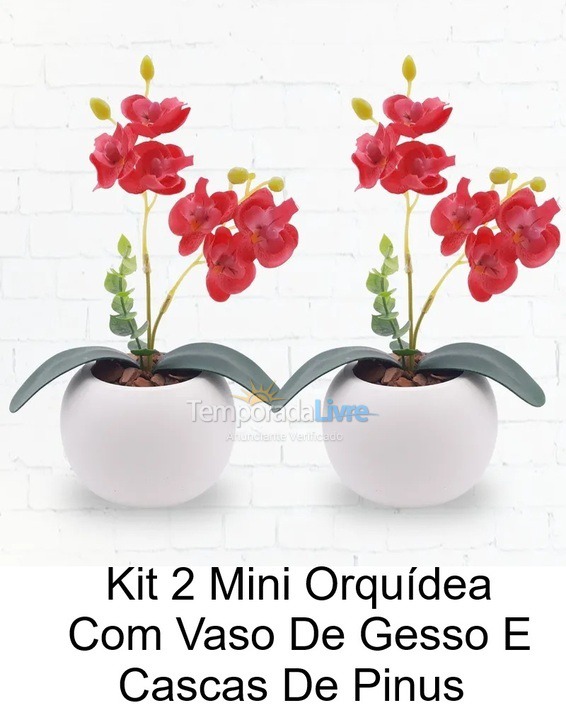 Apartment for vacation rental in Londrina (State Of Paraná)