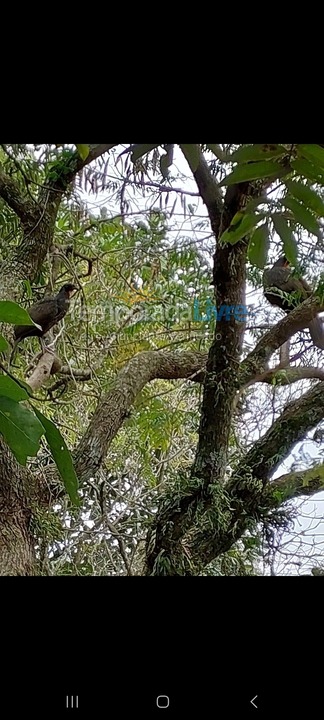 Ranch for vacation rental in Louveira (Monterrey)