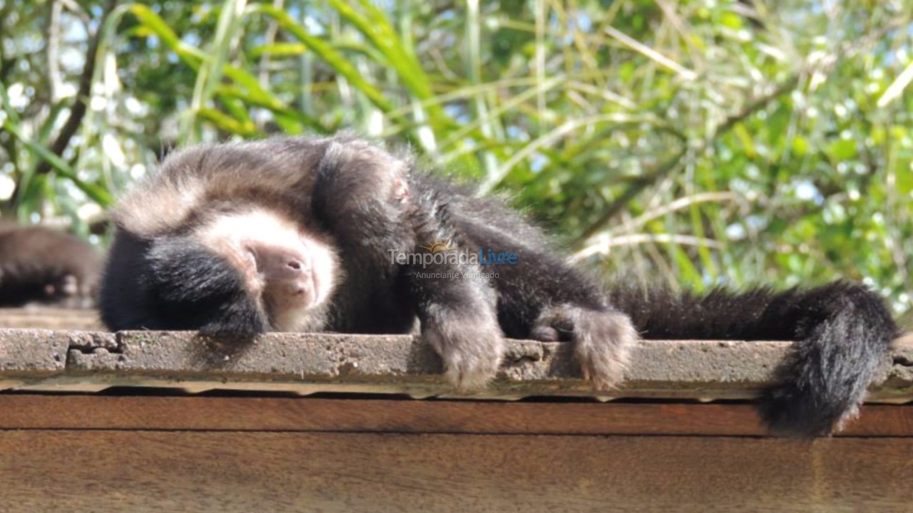 House for vacation rental in Florianopolis (Lagoa da Conceição)