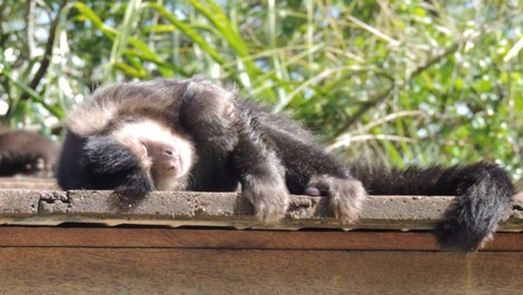 Loft Arcano Maior. Unique retreat. Views of the forest, the lagoon, and the sea!