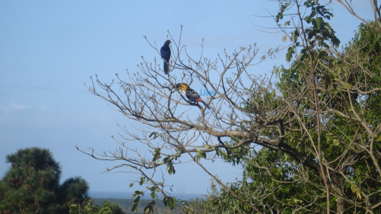 House for vacation rental in Florianopolis (Lagoa da Conceição)