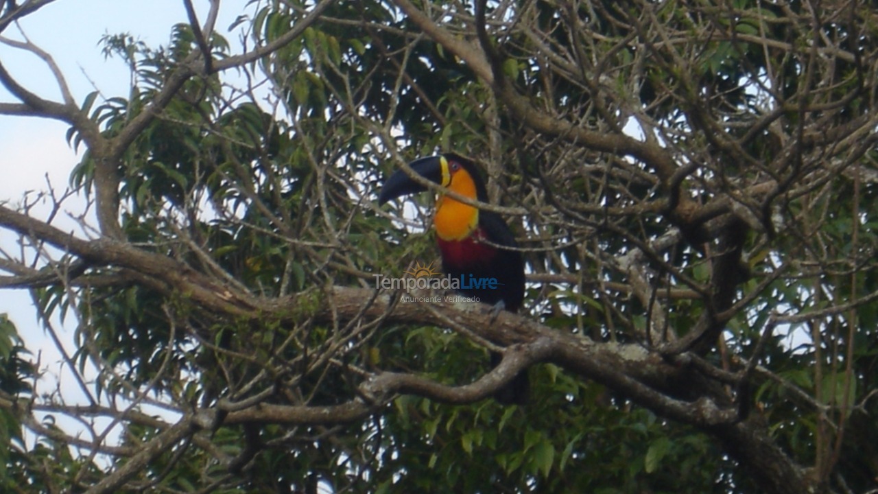 House for vacation rental in Florianopolis (Lagoa da Conceição)