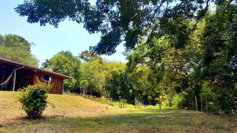 Cozy Country House - Downtown