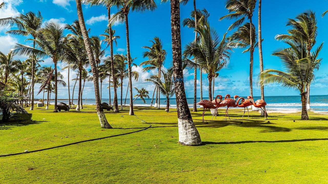 House for vacation rental in Cairu (Ilha de Tinharé)