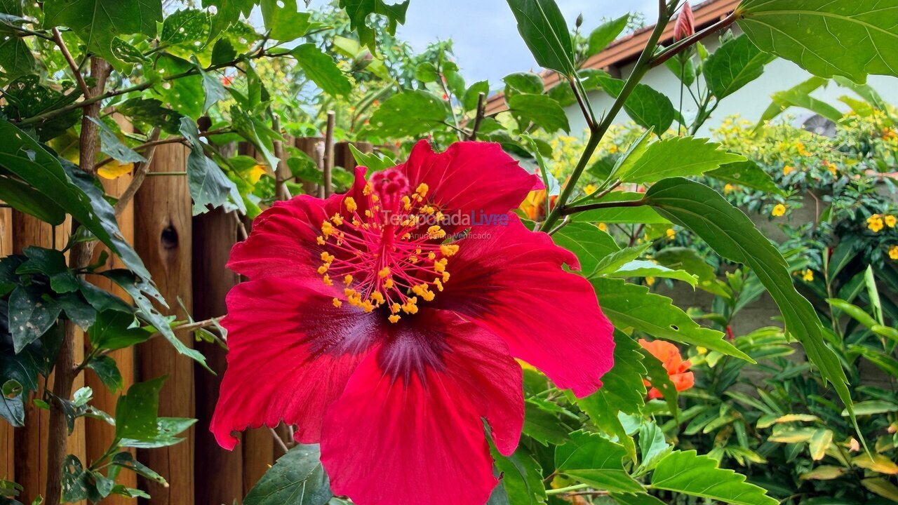 Casa para alquiler de vacaciones em Ubatuba (Itamambuca)