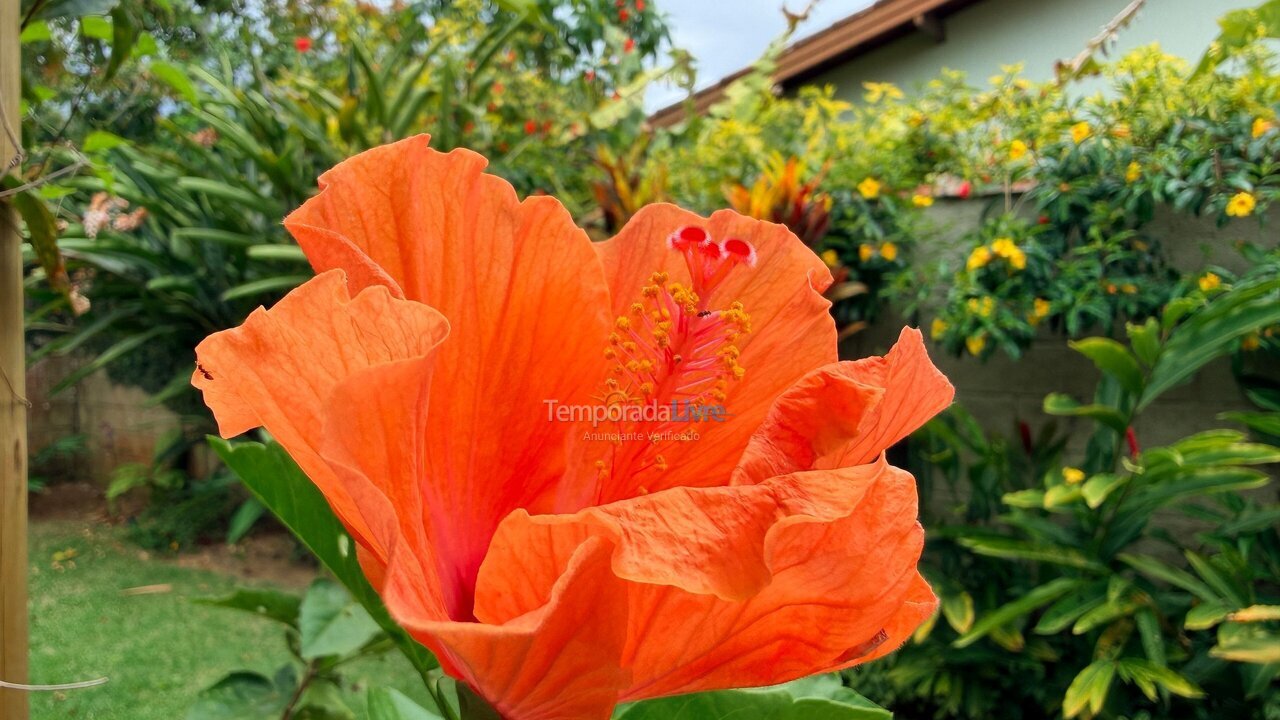 Casa para alquiler de vacaciones em Ubatuba (Itamambuca)