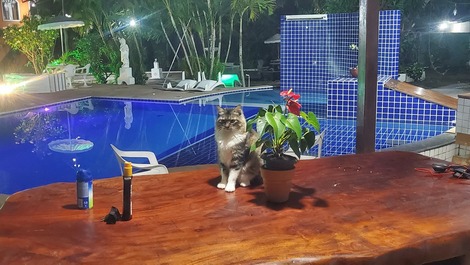 Paraíso Privado Guarajuba - Monte Gordo —