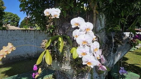 Paraíso Privado Guarajuba - Monte Gordo —