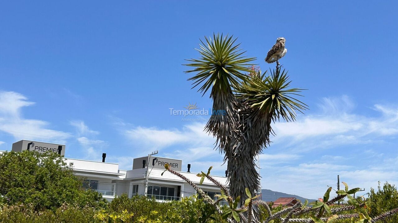 Apartamento para aluguel de temporada em Palhoça (Praia do Sonho)