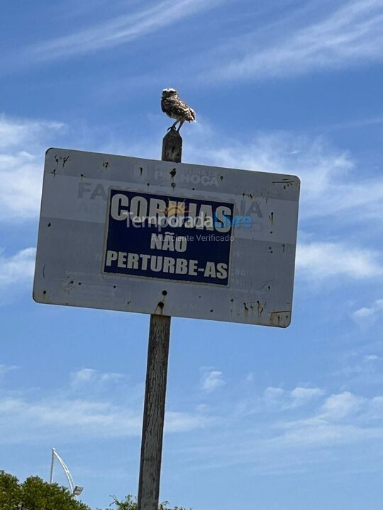 Apartamento para aluguel de temporada em Palhoça (Praia do Sonho)