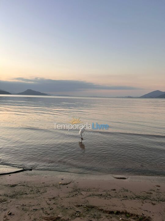 Apartamento para aluguel de temporada em Palhoça (Praia do Sonho)