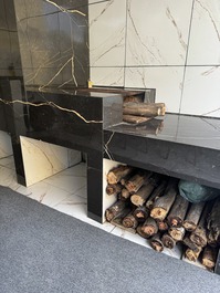 Cidinha Santos season