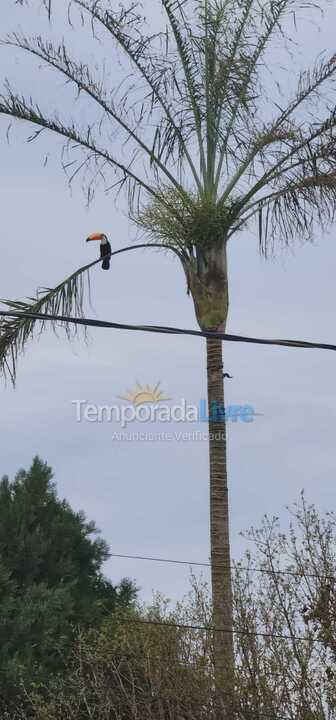 Ranch for vacation rental in Tuiuti (Centro)