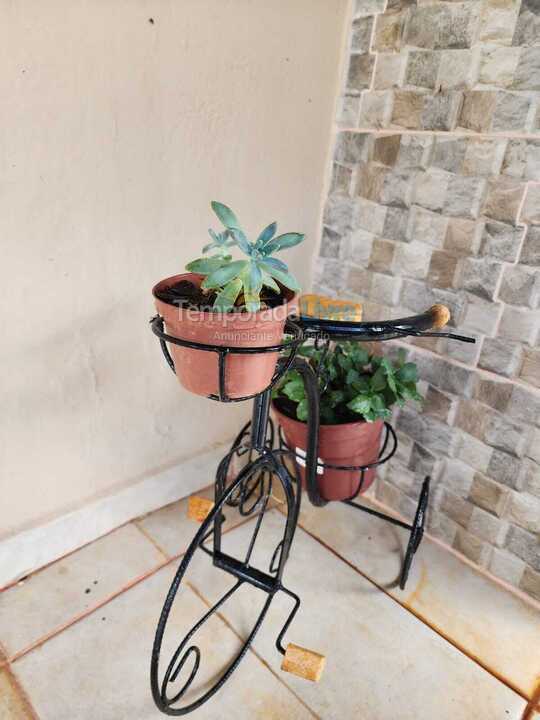 Ranch for vacation rental in Tuiuti (Centro)