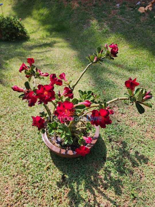 Ranch for vacation rental in Tuiuti (Centro)