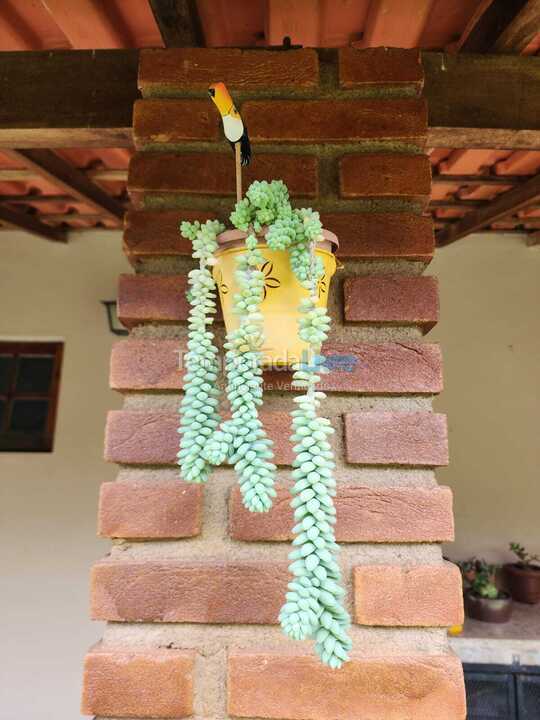 Ranch for vacation rental in Tuiuti (Centro)