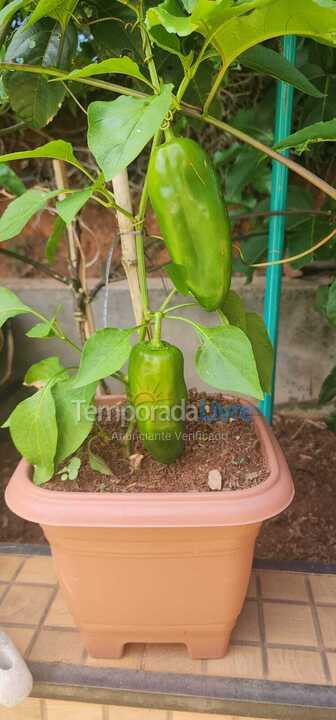 Ranch for vacation rental in Tuiuti (Centro)