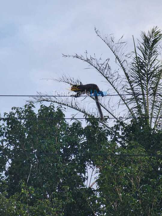 Ranch for vacation rental in Tuiuti (Centro)